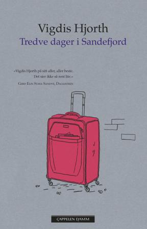 Tredve dager i Sandefjord - Bok av Vigdis Hjorth - Pocket
