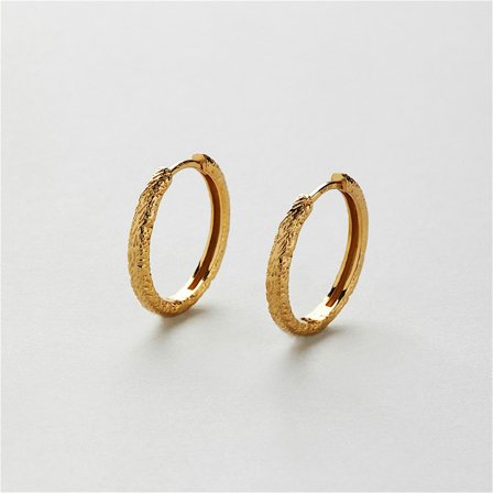 Nima Creolen (M) - 18K vergoldetes Sterlingsilber