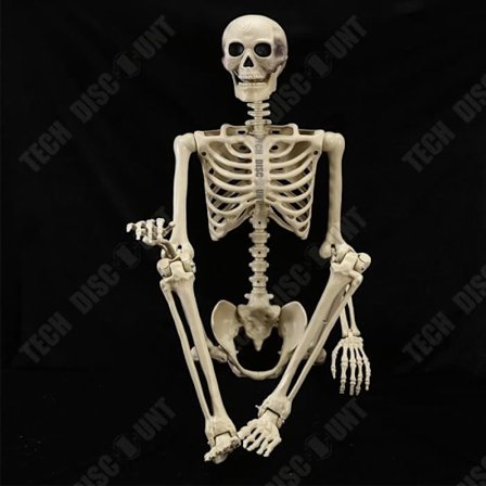 Ihmisen luuranko - TD - 165 cm - Muovi - Halloween-koriste - Liikkuvat nivelet