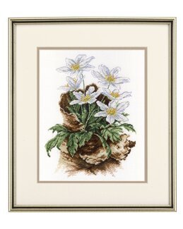 Taulu Kevätkukkaset