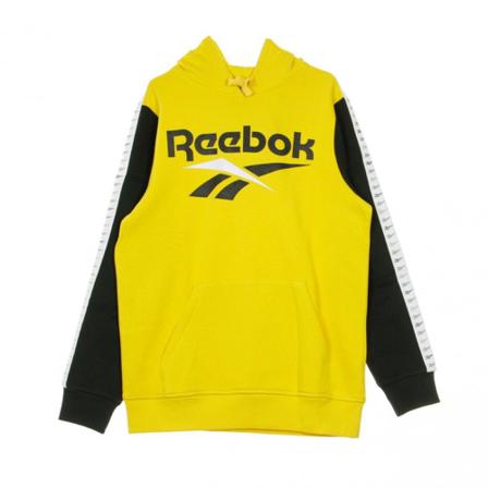 Reebok, Hooded Sweatshirt Geel, Heren, Maat:L