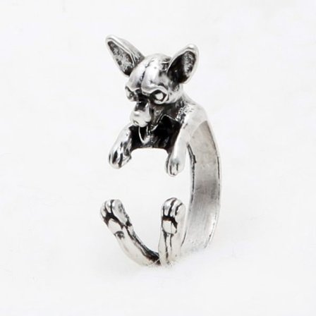 Ring - Chihuahua - Dog