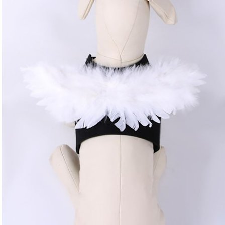 Hund & Kat Transformation Kostume Lille Hunde Udklædning