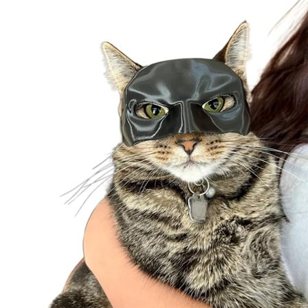 Ny Bat Cat Avenger Mask Cosplay Hatt Katt Leksaker Prydnad Cool Batman Katt Masker Husdjur Tillbehör Dekoration