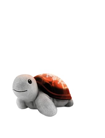 ZAZU Tim The Turtle Projector - Brown - ONE SIZE