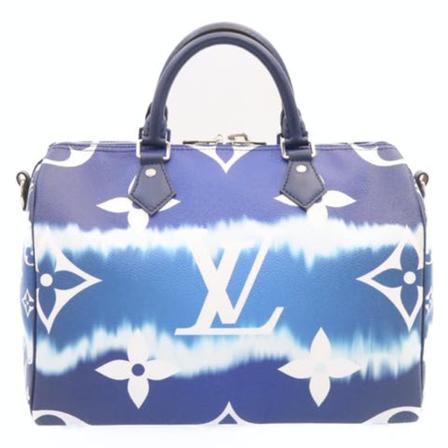 Louis Vuitton Vintage, Pre-owned Canvas Speedy Blauw, Dames, Maat:ONE Size