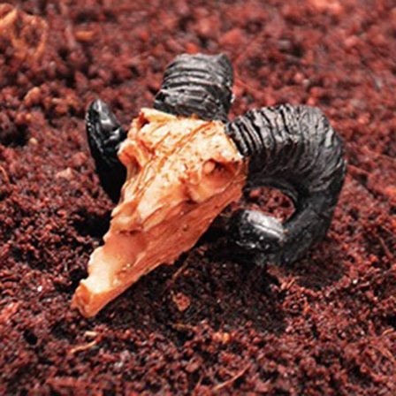 Halloween figurer dekorationer Resin liten skalle Akvarium dekor för akvarium prydnad