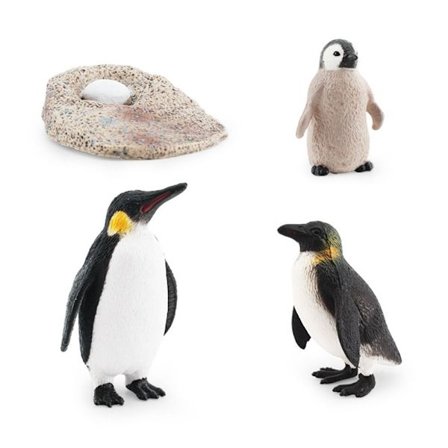 Set Djurens livscykel 7 7