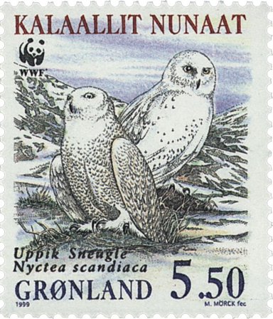 Grønland 1999 - AFA 338 - Postfrisk