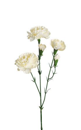 Mr Plant Kunstig Blomst Nellik-Hvit H65