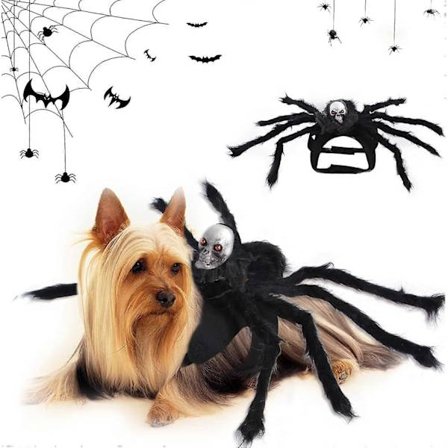 Halloween Edderkop Hundekostume, Halloween Kostume til Kæledyr, Hunde Kat Edderkop Kostumer, Hundekostume Halloween Kostume, til Hunde Katte Halloween