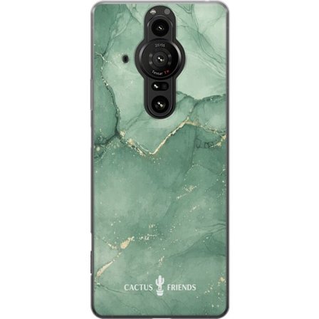 Yhteensopiva Puhelinkuori Sony Sony Xperia Pro-I Cactus and Friends – JadeVeins