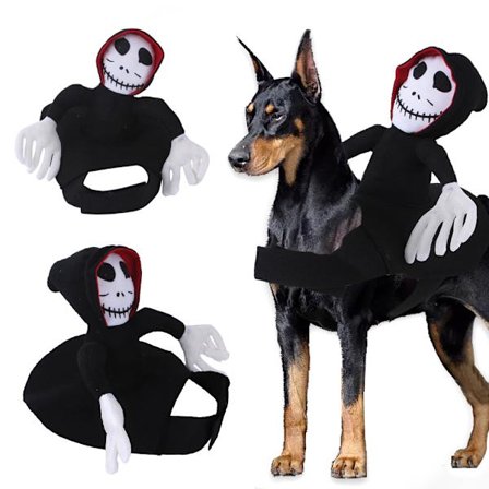 Spøgelsesridning Kostume til Hund, Forvandlet til Halloween Hund