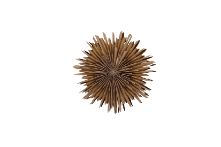 Venture Home Sälen Adventsstjärna Julbelysning Unisex Brun 35 cm