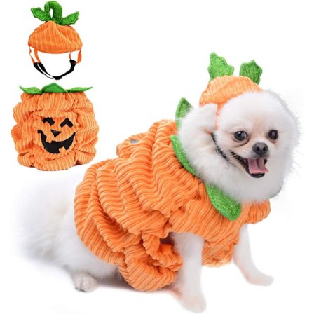 Hund Halloween-kostyme, Halloween kjæledyr hund gresskar kostyme V