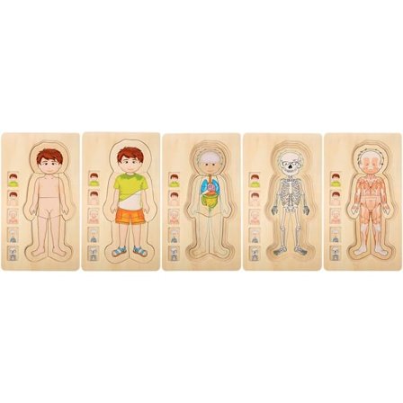 Treleke Anatomi Puslespill for Menneskekroppen Hjernepuslespill Leke for Barn