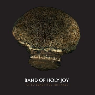 Fated beautiful mistakes The Band of Holy Joy