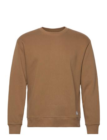 Hco. Guys Sweatshirts Sweatshirt Trøje Brun Hollister