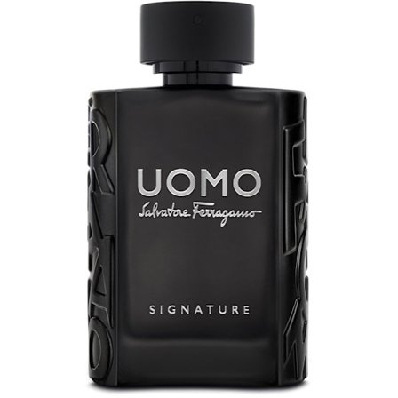 Salvatore Ferragamo Uomo Signature Edp 100ml