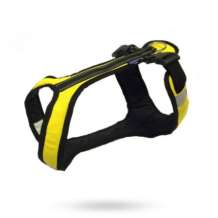 Zero DC - Zero DC Shorter Gul & Svart - Klassiske hundeseler, step-in, jacket seler, trekkseler, vinterseler & Y-seler på Doggie.no