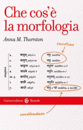 Che cos'e' la morfologia Anna Maria Thornton