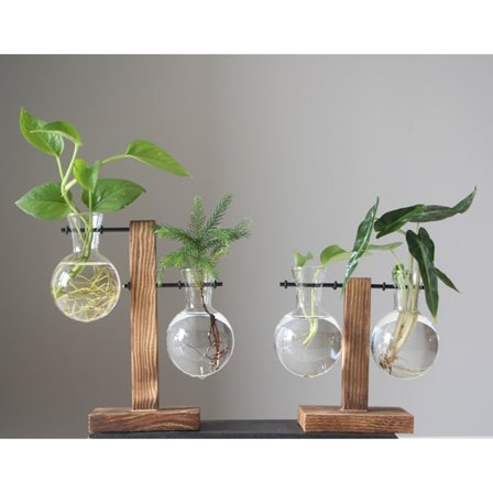 *Kreativ tre ramme hydroponisk vase grønn dill plante gjennomsiktig glass plante blomsteroppsats beholder skrivebordsdekorasjoner for hjemmedekorasjon