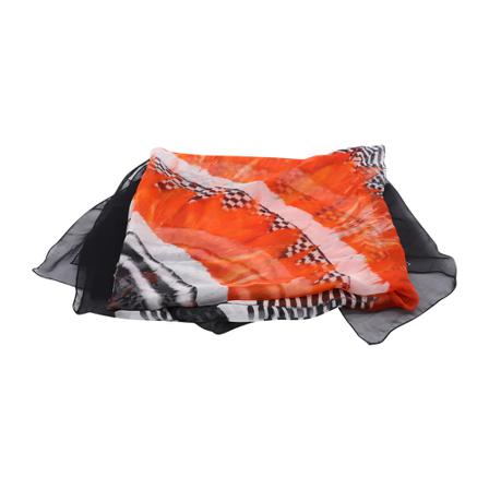 Alexander McQueen Pre-owned Halstørklæde Orange, Dame Vintage Accessories, Størrelse: ONE Size