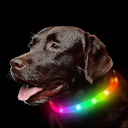 LED Hundehalsbånd, Oppladbart Regnbuefargeskiftende Lysende Hundehalsbånd, Vanntette Hundelys Gjør Kjæledyret Synlig og Trygt for Kveldsturer