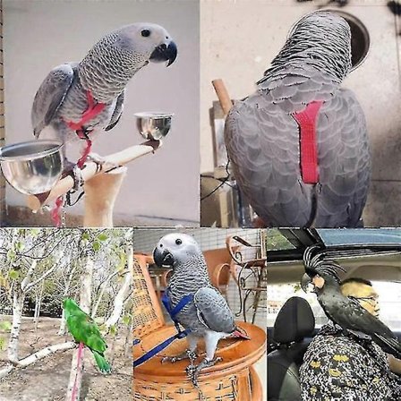 Papegøje Fugle Sele Snor Udendørs Flyvende Trækseler Bånd Justerbar Anti-bid Træningstov