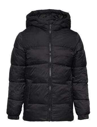 Jjetoby Puffer Hood Sn Jnr Toppatakki Black Jack & J S