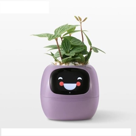 Tuya Ivy Smart Planter,endless Fun Over 49 Rich Expressions