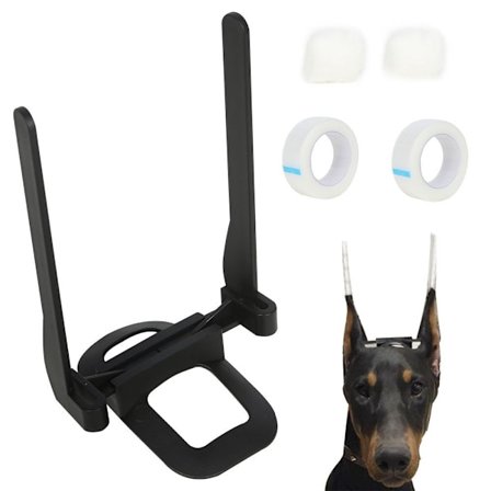 Dog Ear Stand Up Doberman Ear Stand Up B B