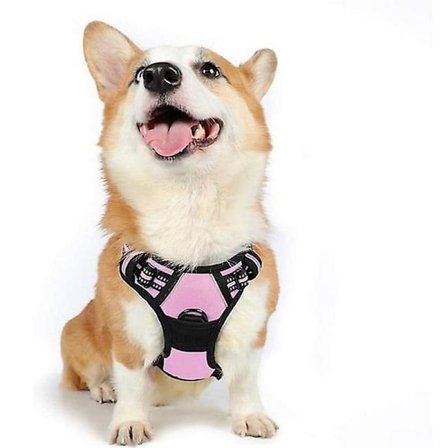 Hundsele No Pull Husdjurssele Justerbar Mjuk Vadderad Hundväst Husdjursselar Rosa
