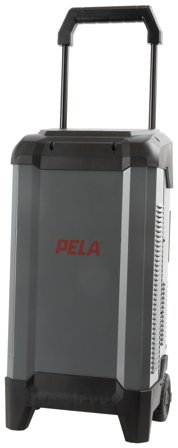 PELA 544069 Batteriladdare med starthjälp, 12/24 V, 250 A, Verkstad