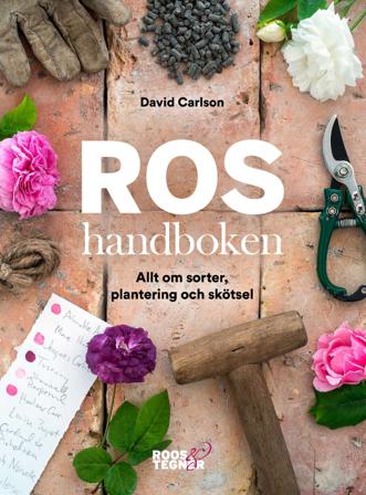Roshandboken : allt om sorter, plantering och skötsel - Bok av David Carlson - Häftad