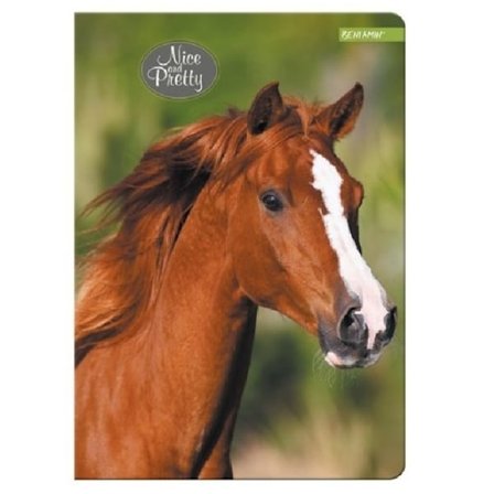Anteckningsbok Häst - A4 Mjukt omslag