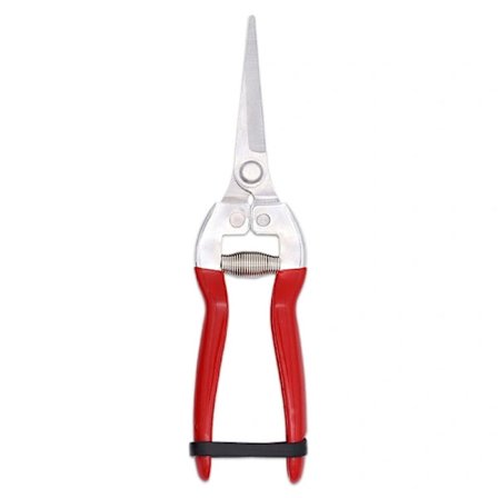 Bonsai Plant Flower Beskärare, Trädgårdsgran Rostfri (GPPS-1008). Colibri florist och trädgårdssax