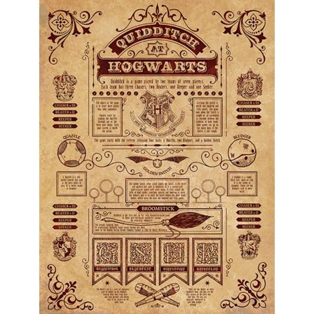 Harry Potter Quidditch Canvas Print 80cm x 60cm Kräm/Maroon
