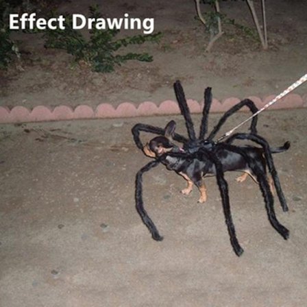 Pet Black Spider Costume Dog Cat Halloween Spider Cosplay Outfit