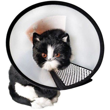 Koiran kartiokaulus Koiran kaulus Koiran kartio Koiran suojakaulus Läpikuultava pehmeä kevyt puremisen ja nuolemisen estävä pienille ja 