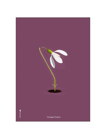 Snowdrop Purple Home Decoration Posters & Frames Posters Illustrations Multi/mönstrad Brainchild