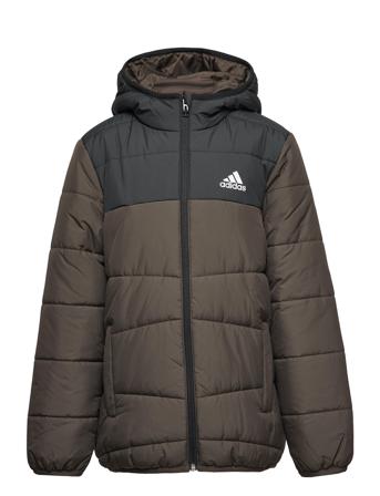 Padded Winter Jacket Foret Jakke Brun Adidas Performance