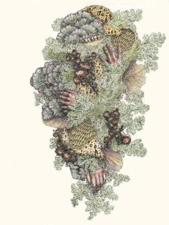 Monuments to impermanence PYRITHE