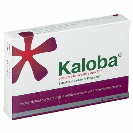 Kaloba 21 Compresse Rivestite 20mg