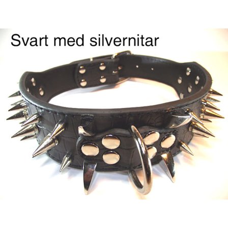 Hund halsband 2" svart med nitar 59-67cm