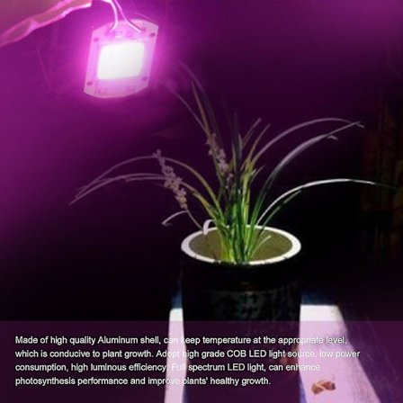 50w Led Grow Lights Full Spectrum Led Cob Indoor Plant Grow Light För trädgård