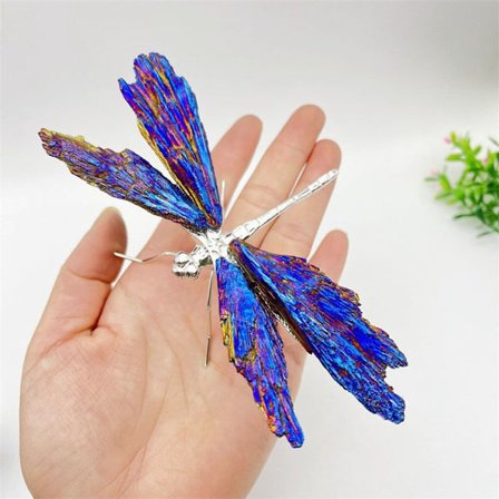 Aura Tourmaline Kyanite Dragonfly Butterfly ja Dragonfly