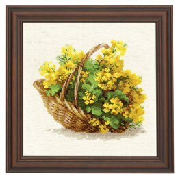 Bild Rapsblüten - Riolis