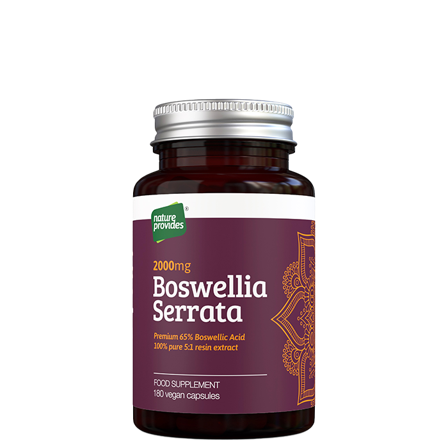 Nature Provides Boswellia Serrata 180 kapslar