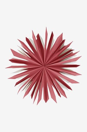 SIRIUS adventster ø 60 cm Rood - Koop Kerststerren bij Jotex